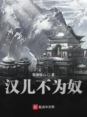 汉儿不为奴（校对版全本） 封面