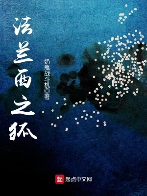 法兰西之狐（校对版全本） 封面