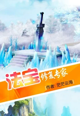 法宝修复专家（校对版全本） 封面