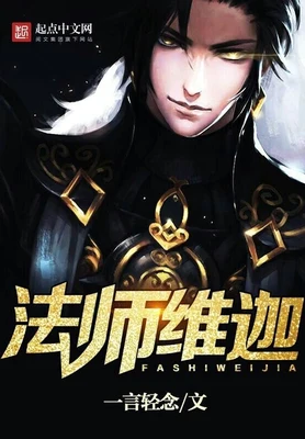 法师维迦（校对版全本） 封面