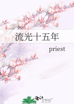 流光十五年（校对版全本） 封面