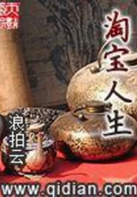 淘宝人生(校对版全本) 封面