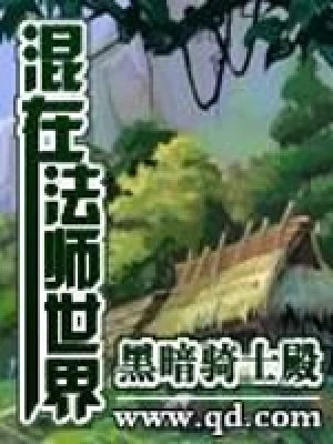 混在法师世界（校对版全本） 封面