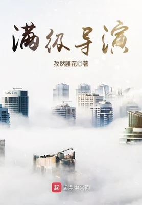 满级导演（校对版全本） 封面