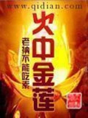 火中金莲（校对版全本） 封面