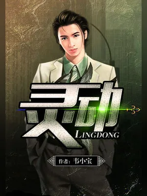 灵动（校对版全本） 封面