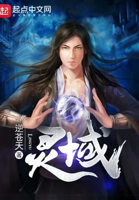 灵域（校对版全本） 封面