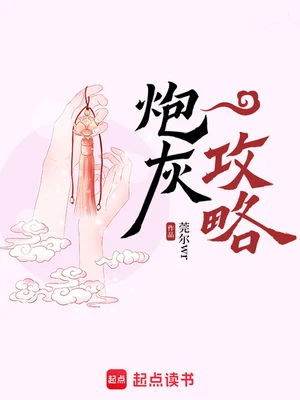 炮灰攻略（校对版全本） 封面