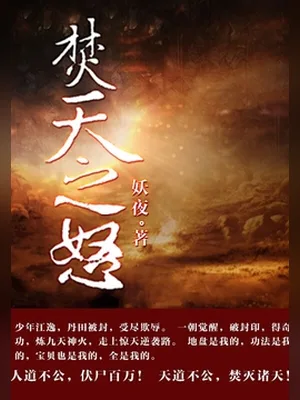 焚天之怒（校对版全本） 封面