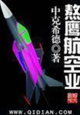 熬鹰航空业(校对版全本) 封面