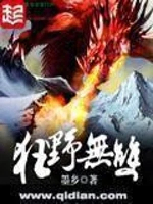 狂野无双（校对版全本） 封面