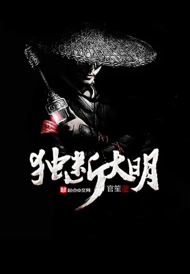 独断大明（校对版全本） 封面