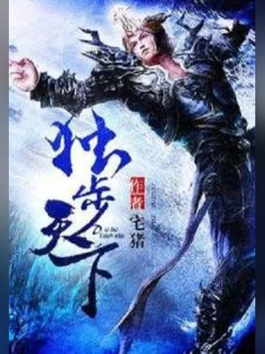 独步天下（校对版全本） 封面