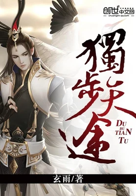 独步天途（校对版全本） 封面