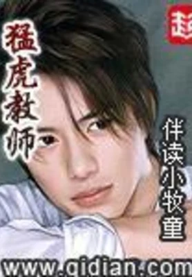 猛虎教师(精校版全本) 封面