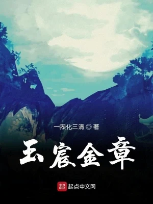 玉宸金章（校对版全本） 封面