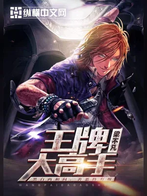王牌大高手(校对版全本) 封面