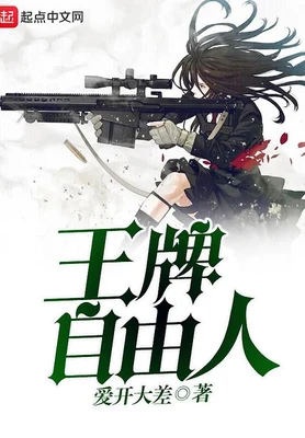 王牌自由人（校对版全本） 封面