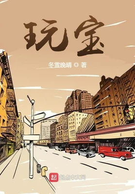 玩宝（校对版全本） 封面