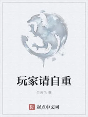 玩家请自重（校对版全本） 封面