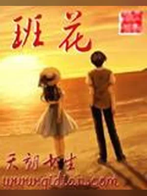 班花（校对版全本） 封面