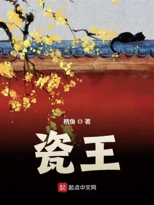 瓷王（校对版全本） 封面