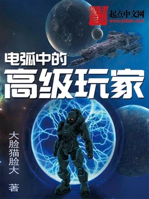 电弧中的高级玩家（校对版全本） 封面