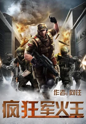 疯狂军火王（校对版全本） 封面
