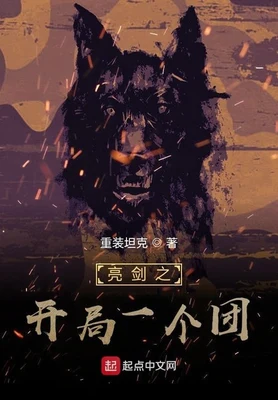 亮剑之开局一个团（校对版全本） 封面