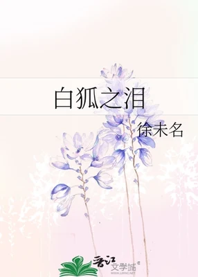 白狐之泪(校对版全本) 封面