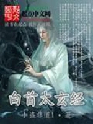 白首太玄经（校对版全本） 封面