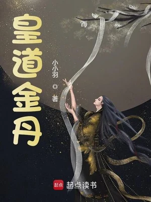 皇道金丹（校对版全本） 封面