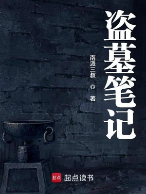 盗墓笔记（实体封面全本） 封面