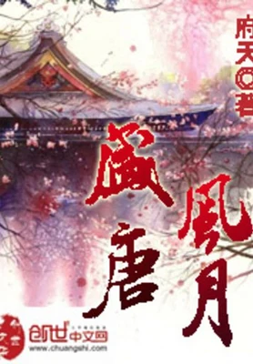 盛唐风月（校对版全本） 封面