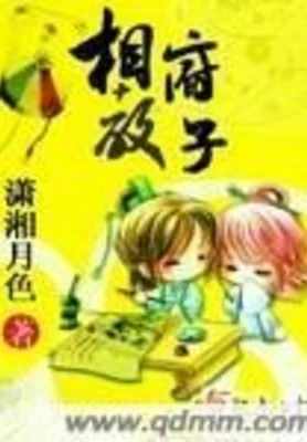 相府教子（校对版全本） 封面
