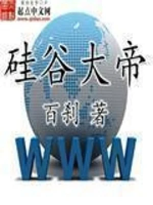 硅谷大帝（校对版全本） 封面