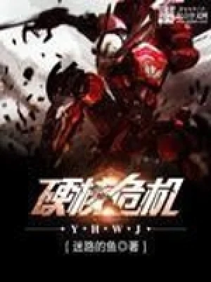 硬核危机（校对版全本） 封面