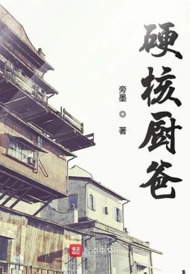硬核厨爸（校对版全本） 封面