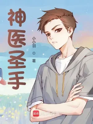神医圣手（校对版全本） 封面