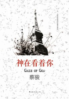 神在看着你（实体版全本） 封面