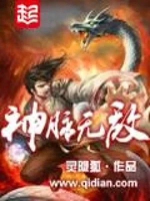 神脉无敌（校对版全本） 封面