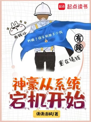 神豪从系统宕机开始（校对版全本） 封面