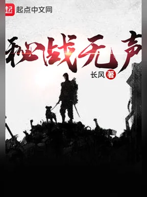 秘战无声（校对版全本） 封面