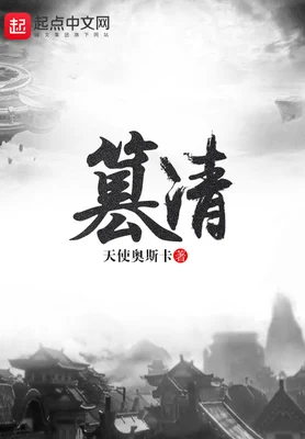 篡清（校对版全本） 封面