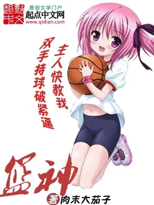 篮神（校对版全本） 封面