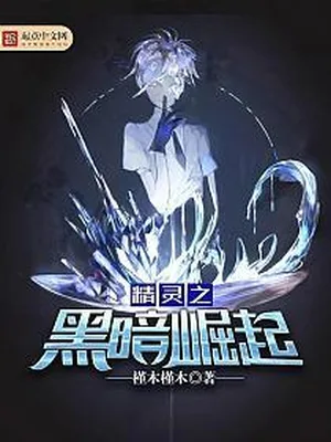 精灵之黑暗崛起（校对版全本） 封面
