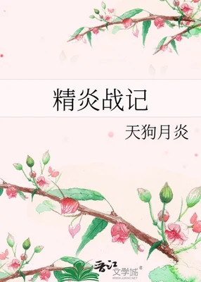 精炎战记（校对版全本） 封面