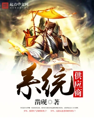 系统供应商(校对版全本) 封面