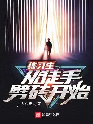 练习生从徒手劈砖开始（校对版全本） 封面