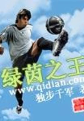 绿茵之王（校对版全本） 封面